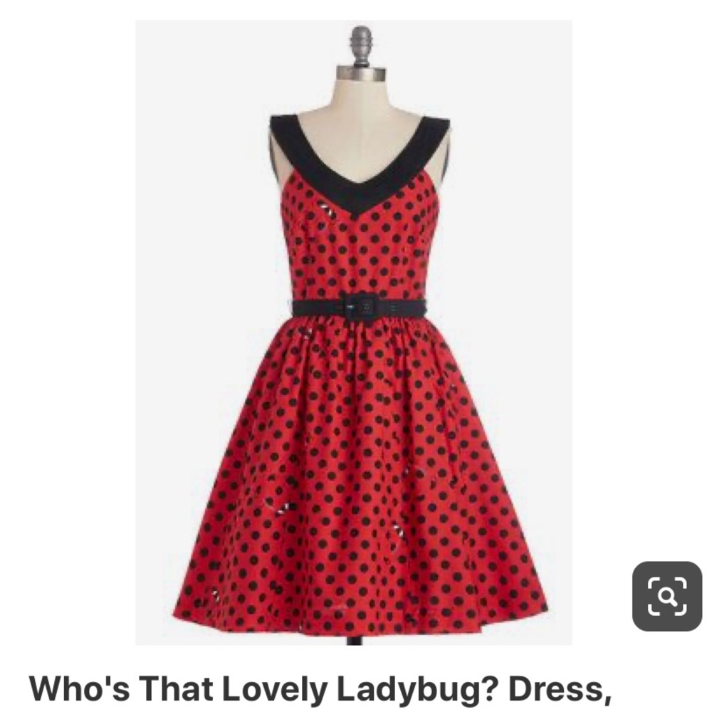 Who’s That Lovely Ladybug Dress